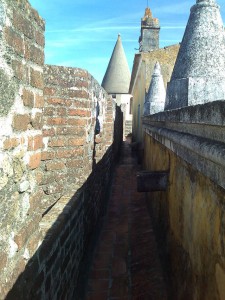 Castelo_de_Viana_do_Alentejo_-_Muralha_interior_e_cubelo